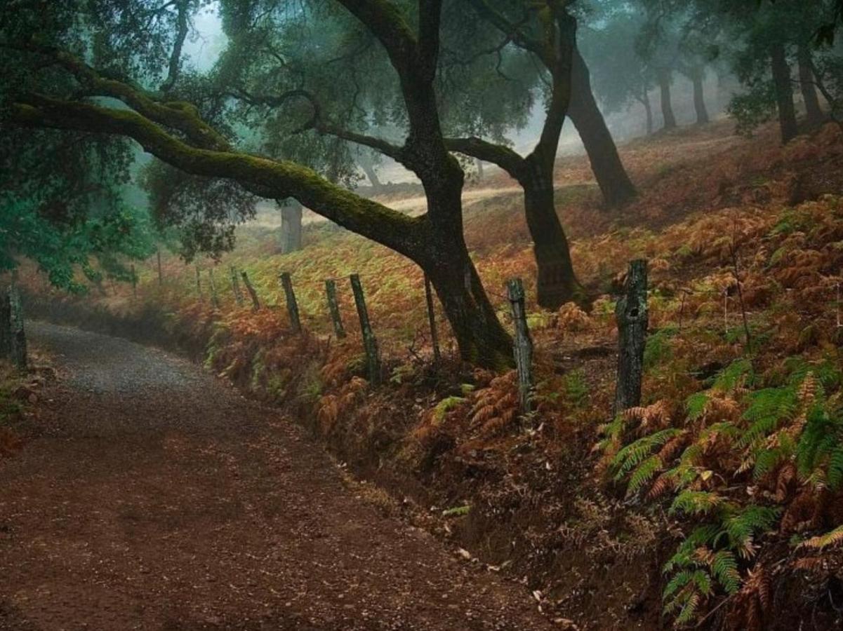 Finca Charco La Olla Jabugo Kültér fotó